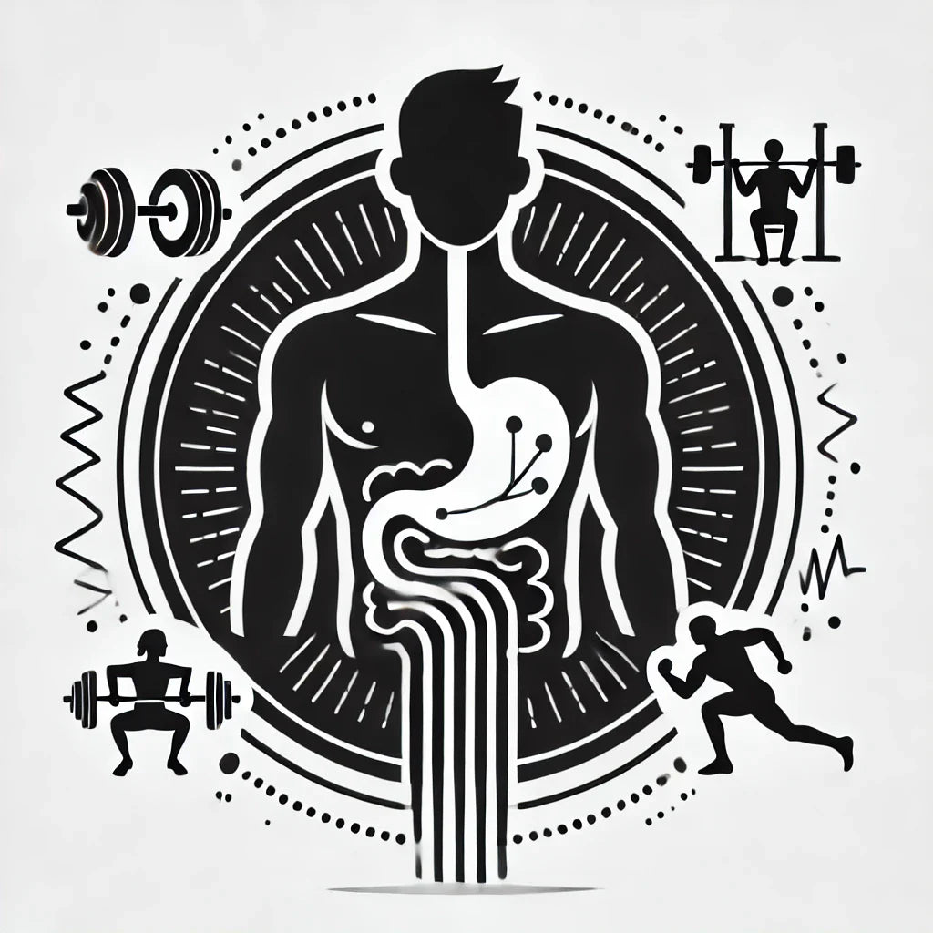 Illustration of muscle recovery and repair, boosted by a balanced gut microbiome