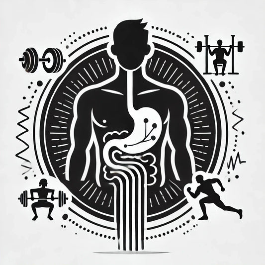 Illustration of muscle recovery and repair, boosted by a balanced gut microbiome